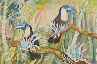 Toucans